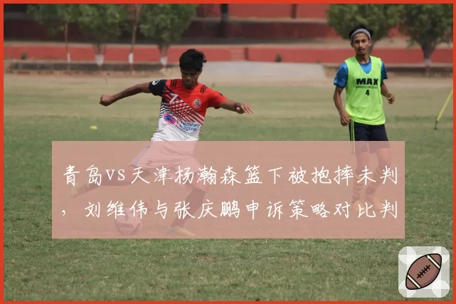 青岛vs天津杨瀚森篮下被抱摔未判，刘维伟与张庆鹏申诉策略对比判罚标准