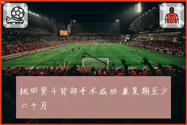 桃田贤斗背部手术成功 康复期至少六个月